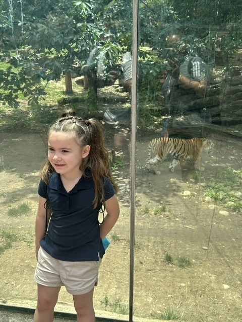 student in front of the tigers