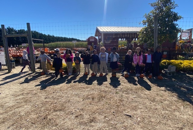 students lined up on a fence with a pumpkin