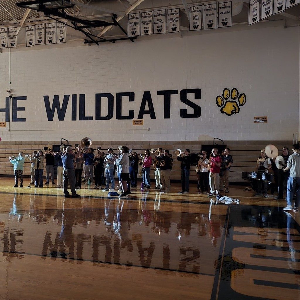 Band performing the fight song