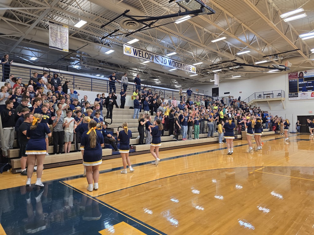 Student body all yelling out the class cheer! Students are in the stands in the gym, seated by grade level. Cheerleaders are in front on the floor facing the stands and leading the cheer.