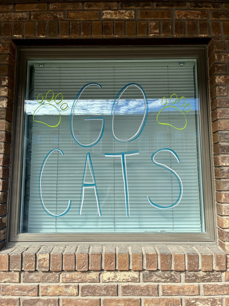 The Board Office has windows decorated to celebrate. This one says "GO CATS" with two paw prints.