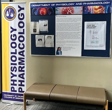 A bulletin board with information about the Department of Physiology and Pharmacology. There is a bench underneath the bulletin board. On the left is a sign that has "Physiology Pharmacology" written sideways on it. The sign is blue and yellow (University of Toledo's colors).