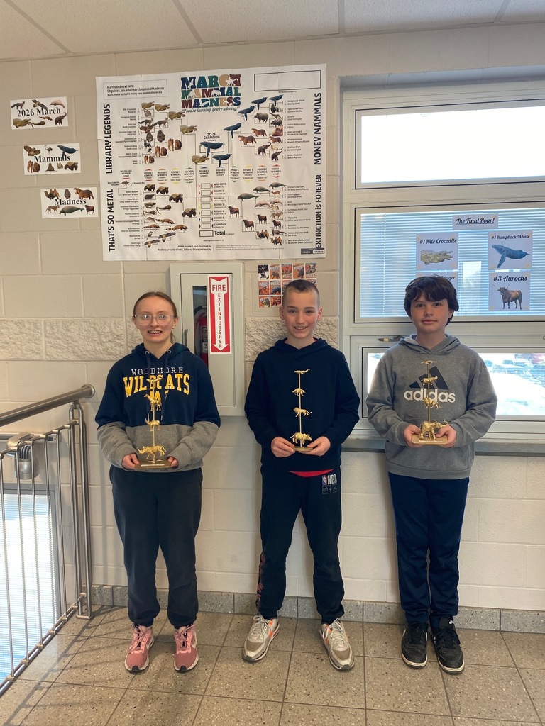 The three students that won their class' March Mammal Madness bracket competition stand in front of the full bracket in the hallway of the middle school. They are each holding a golden trophy of different mammals.