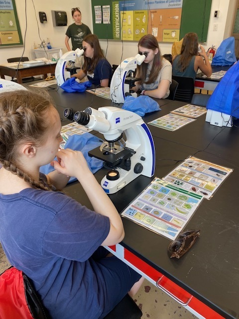 Students are seated in a lab, looking in microscopes. They all have laminated sheets next to them to help them identify what they are looking at.