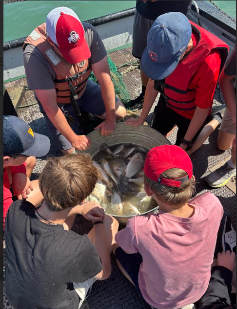 Five students kneel around a bucket of fish in water. Students are wearing hats and two are in life jackets.