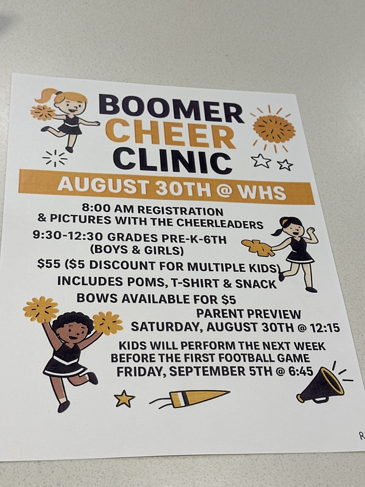 Cheer Clinic