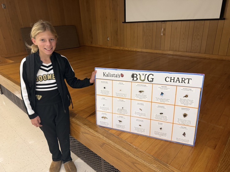4th Grade’s Bug Collections