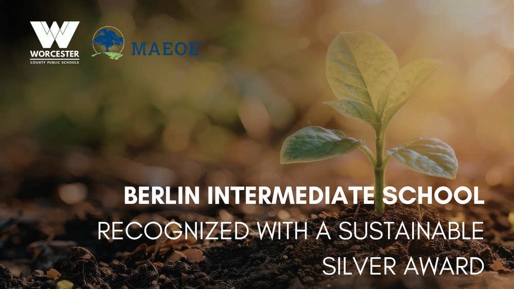 BIS Sustainable Silver Award