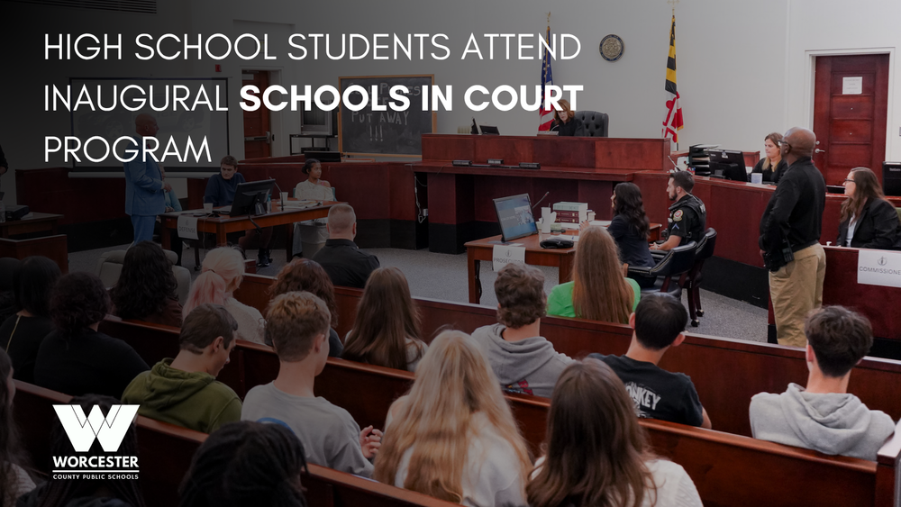 Schools in Court