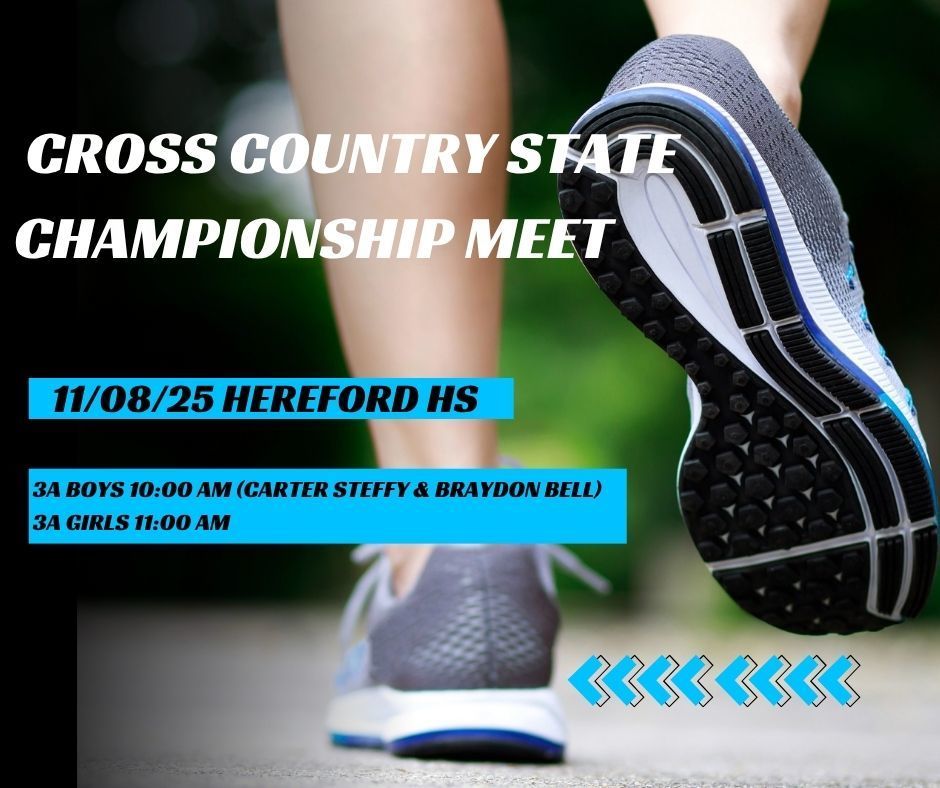 Cross Country state championship meet 2025