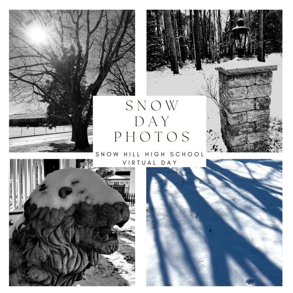 Snowy Photos
