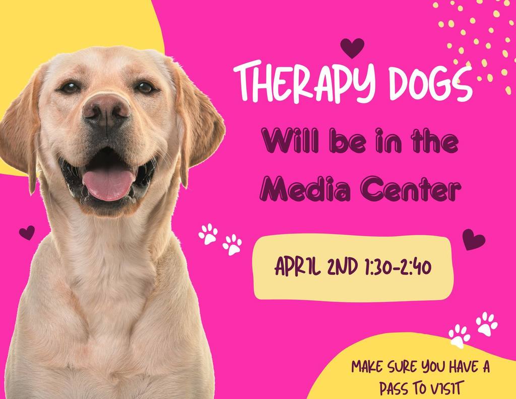 Therapy dogs at SDHS