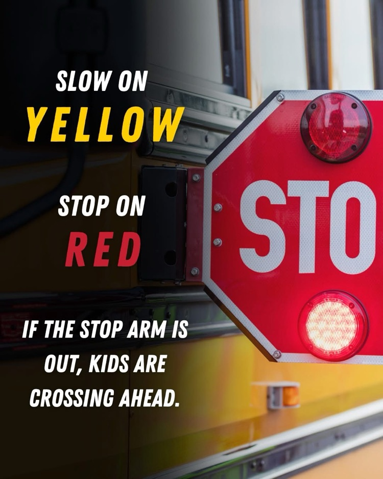 bus safety