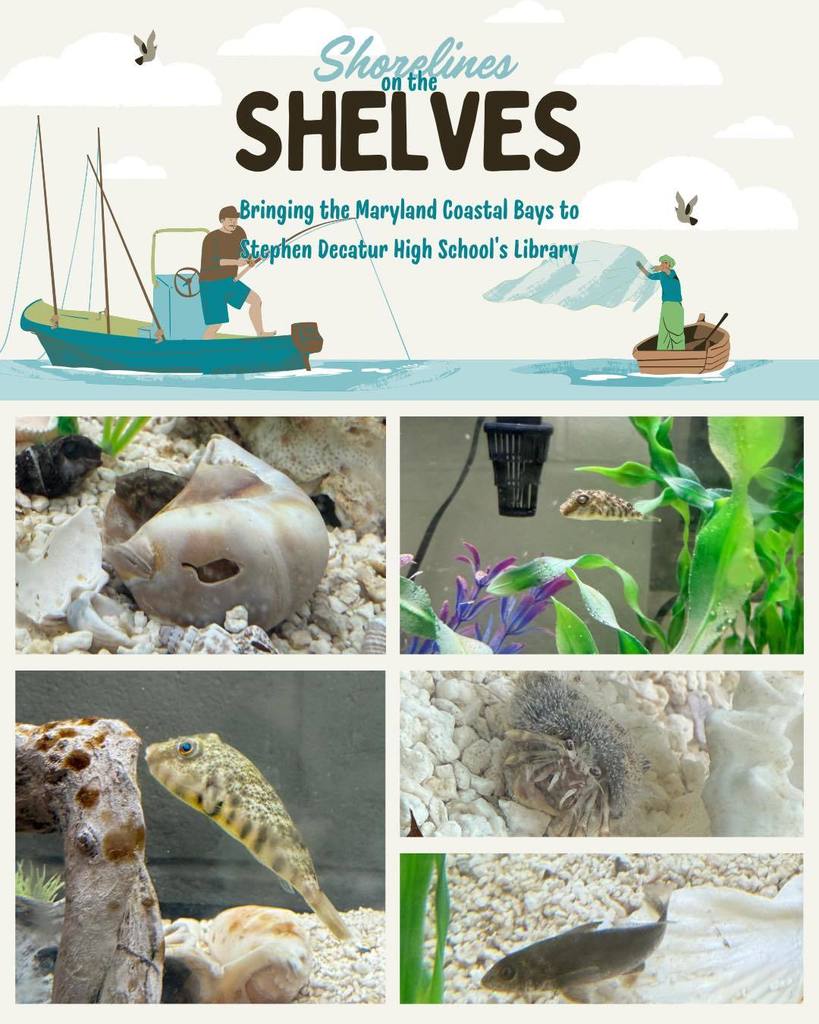 Fish in the library
