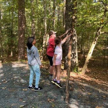 outdoor learning