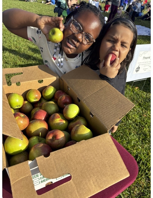 Apples