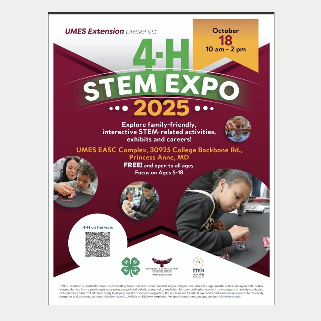 STEM Expo