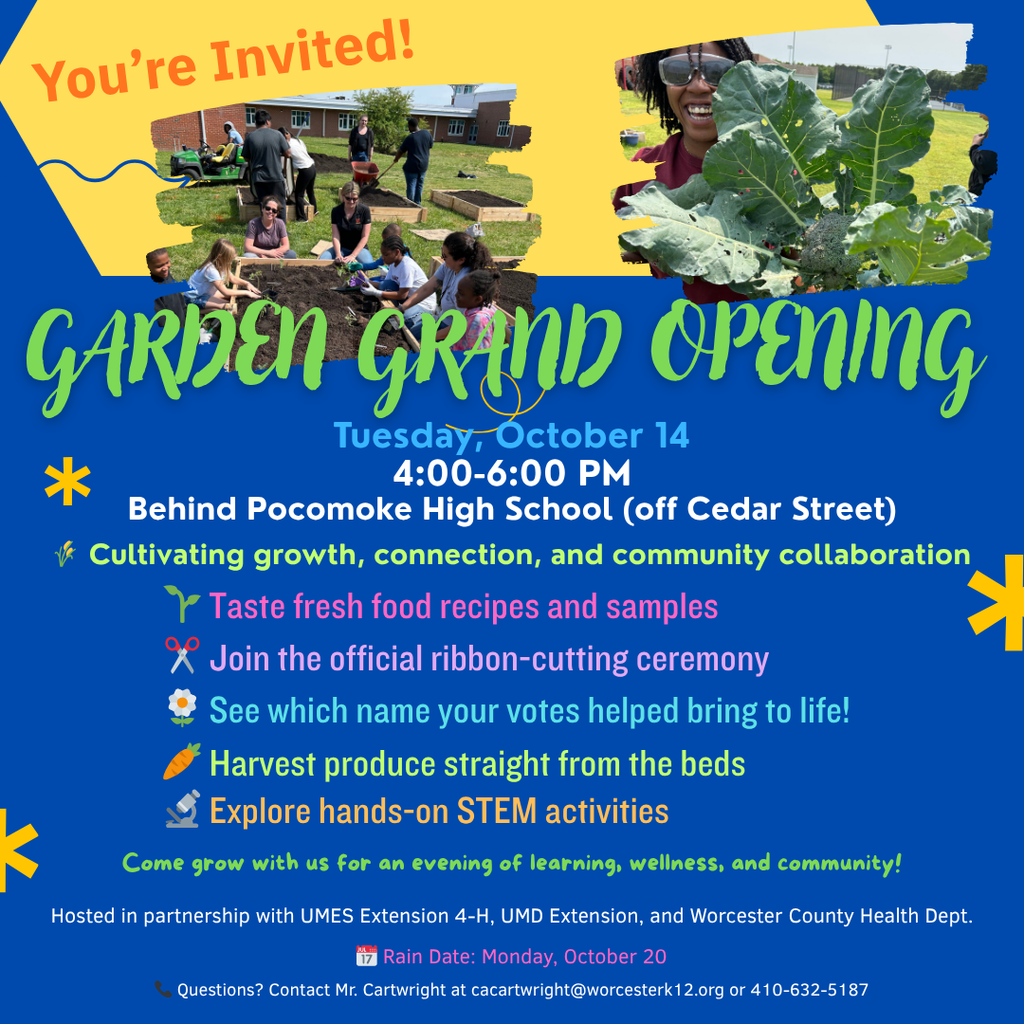 grand opening pictures