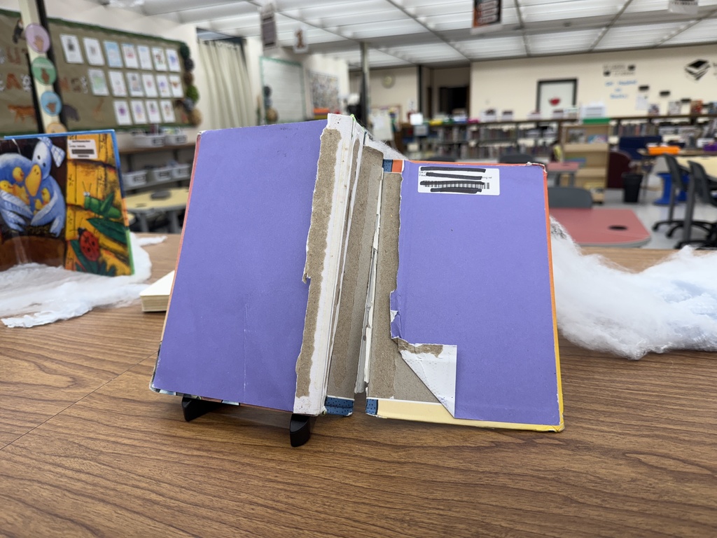 Tattered Library Book