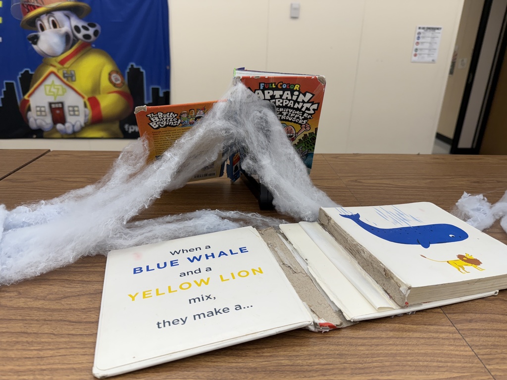 Tattered Library Book