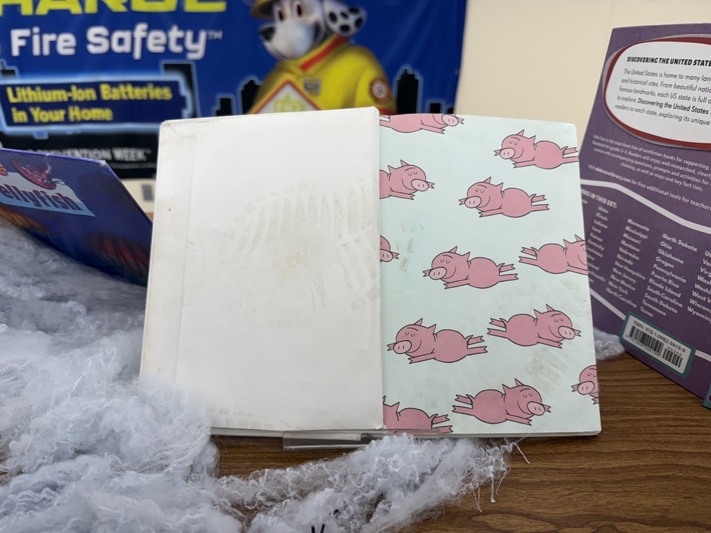 Tattered Library Book