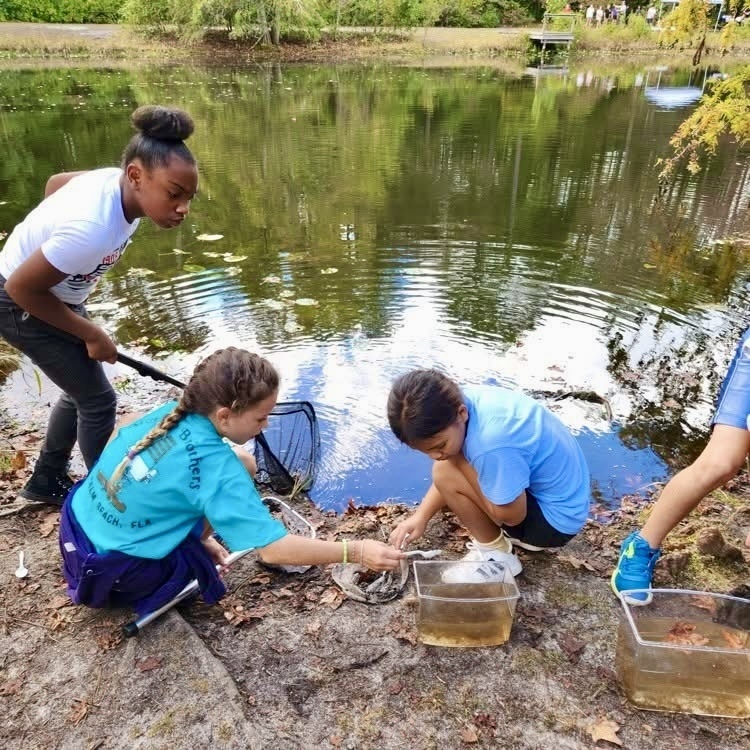 students kneel at the edge of a pond, examining aquatic life in bins of water.