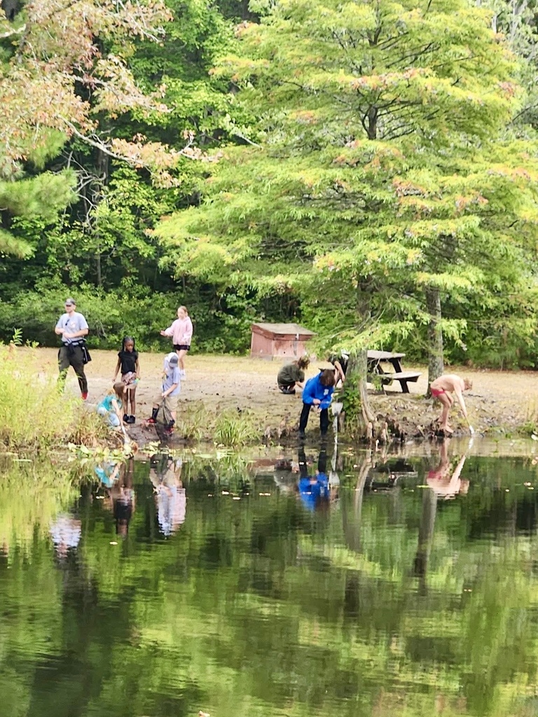 Several students explore the edge of a pond, bending down to investigate the water.