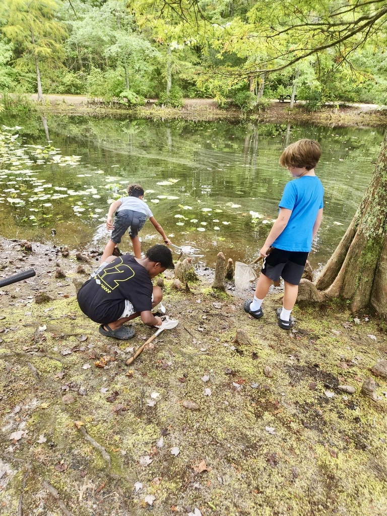 Three students kneel near the shore of a pond, collecting water samples with nets and containers.