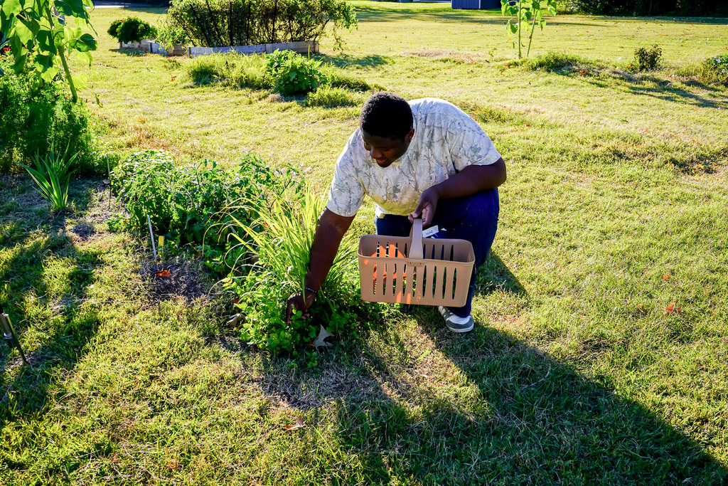 Warrior Roots Ribbon Cutting