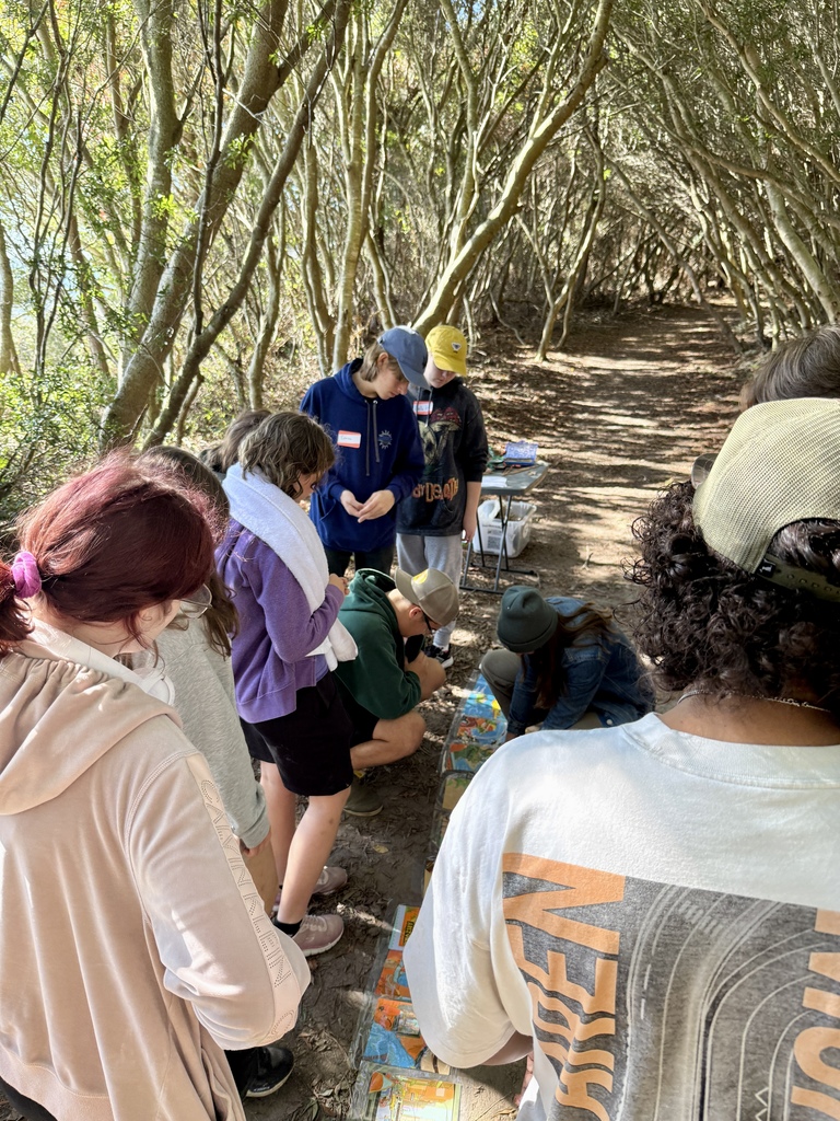 Group of students gathered along a wooded path, working with laminated cards laid on the ground.