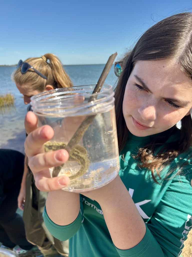 Student holding up a clear container with water and aquatic organisms, looking closely at what’s inside.