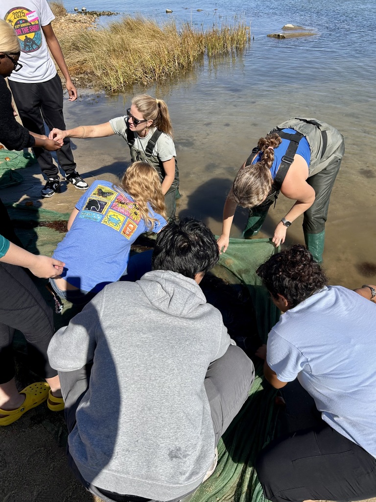 Students and instructors working together at the water’s edge with a seine net.