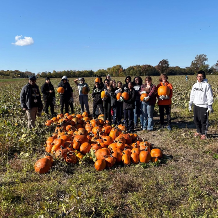 students around pumpkins