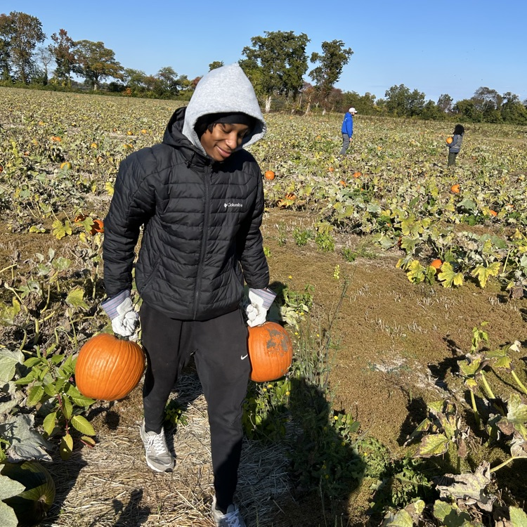 students carrying pumpkins 1