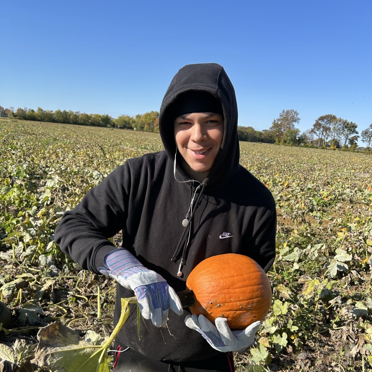 students carrying pumpkins 2