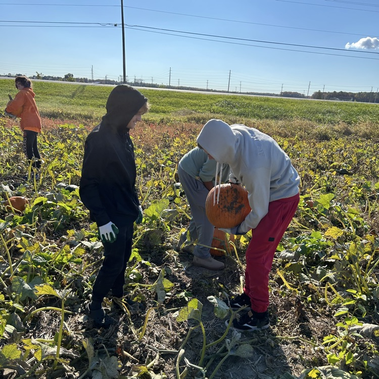 students carrying pumpkins 5