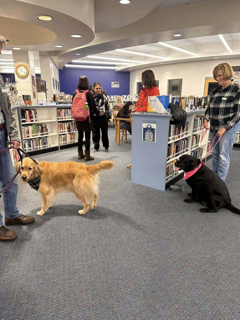 Dog Therapy day at SDHS 2025