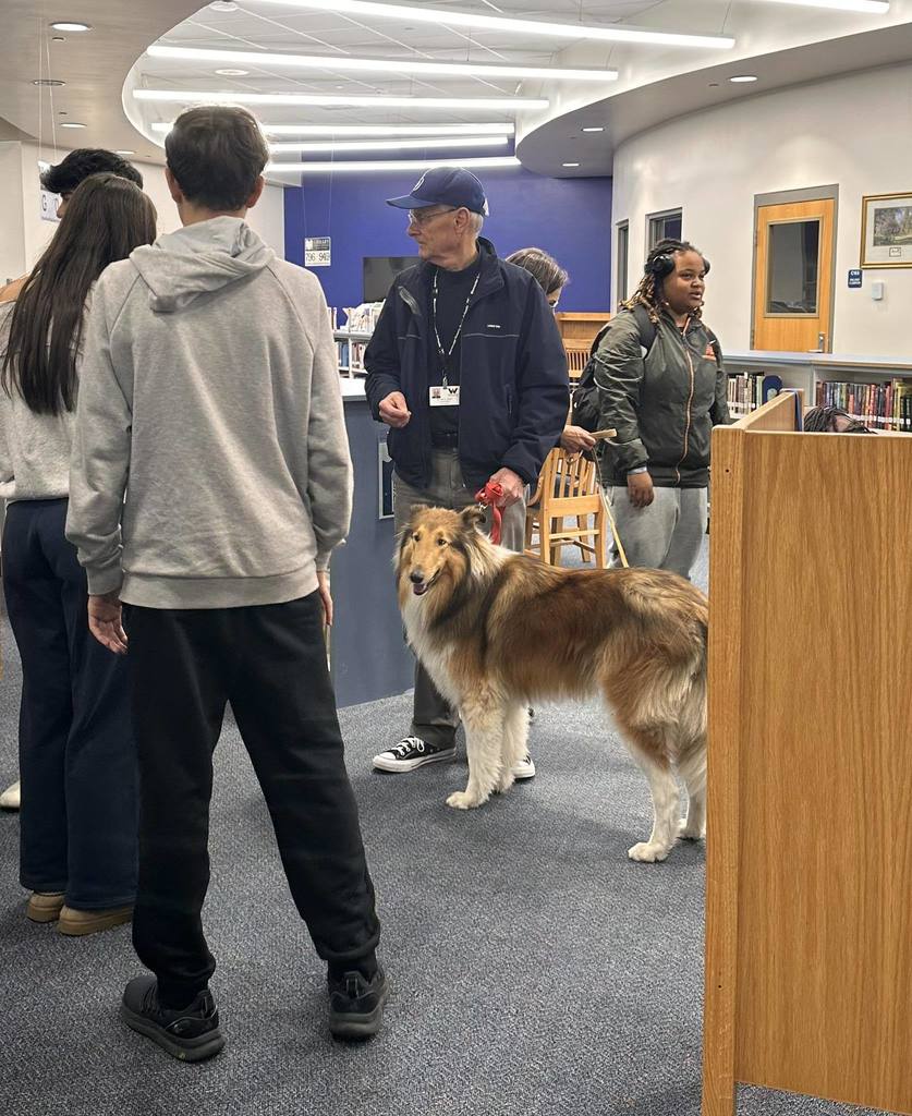 Dog Therapy day at SDHS 2025