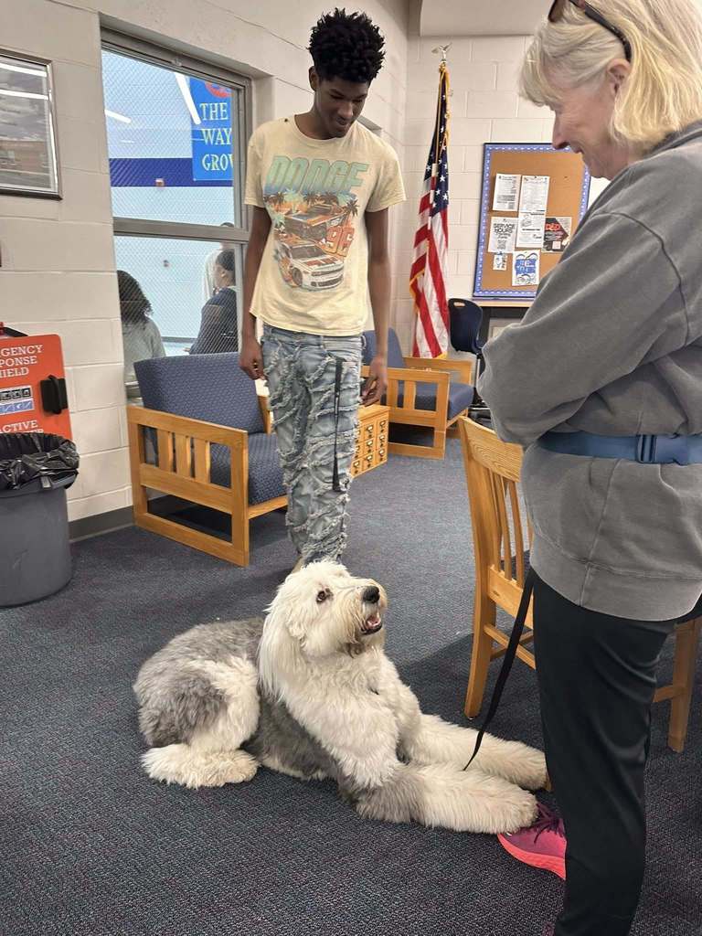 Dog Therapy day at SDHS 2025