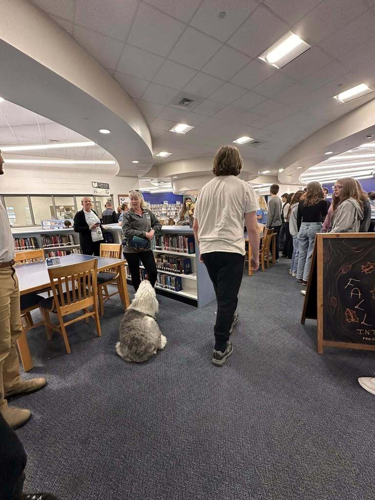 Dog Therapy day at SDHS 2025