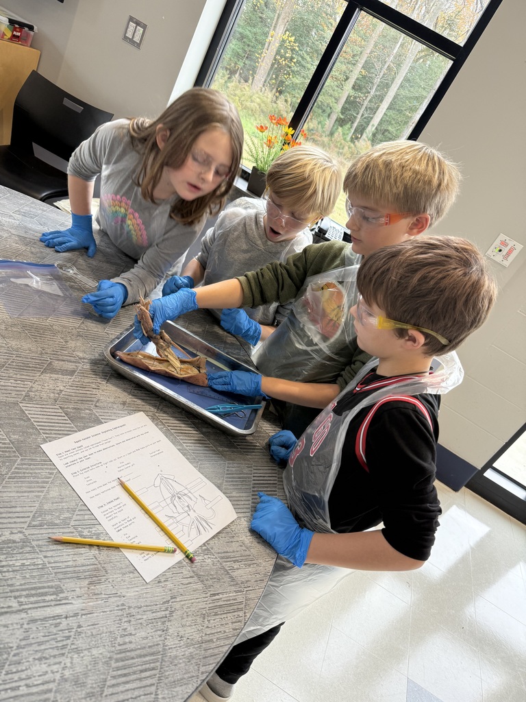 A group of four elementary students leans in over a dissection tray to study a squid.
