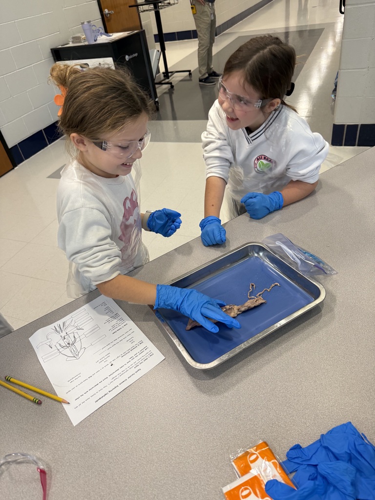 Two elementary students wearing safety goggles and blue gloves examine a squid on a dissection tray. One student touches the squid while both smile and talk. A worksheet and pencils sit on the table beside them.