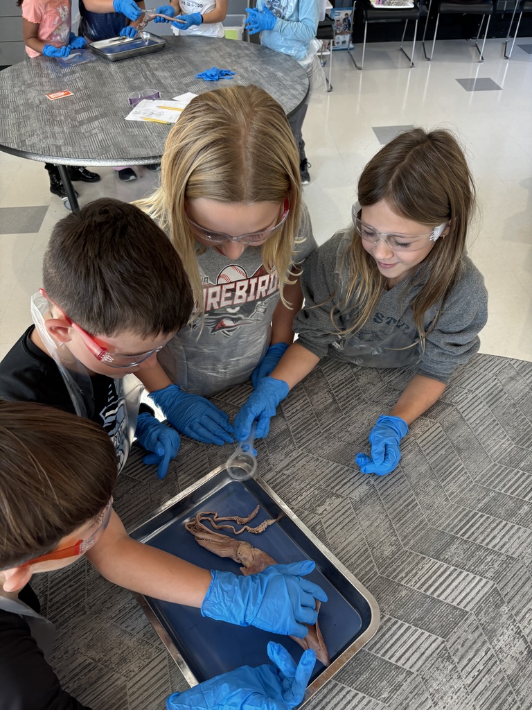 Four students, wearing safety gear, gather around a squid in a dissection tray. One student uses a magnifying glass while others point and observe the squid’s tentacles and body.