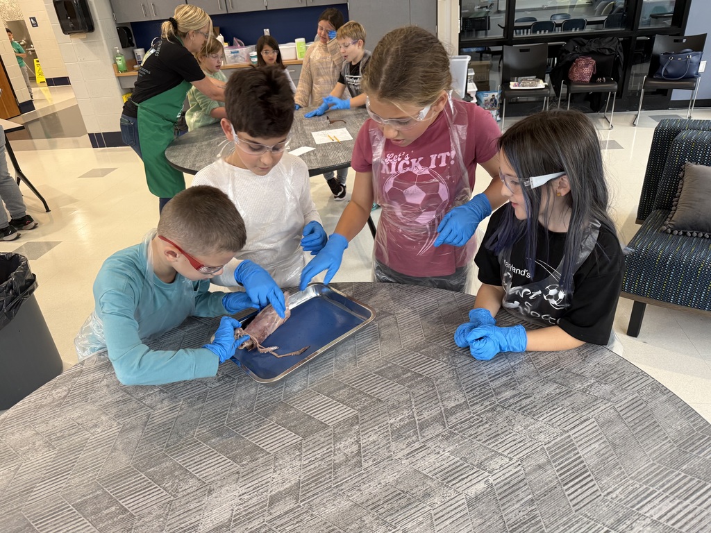 Four elementary students, all wearing goggles and blue gloves, work together around a table to examine a squid in a metal dissection tray. One student  lifts the squid while the others observe.