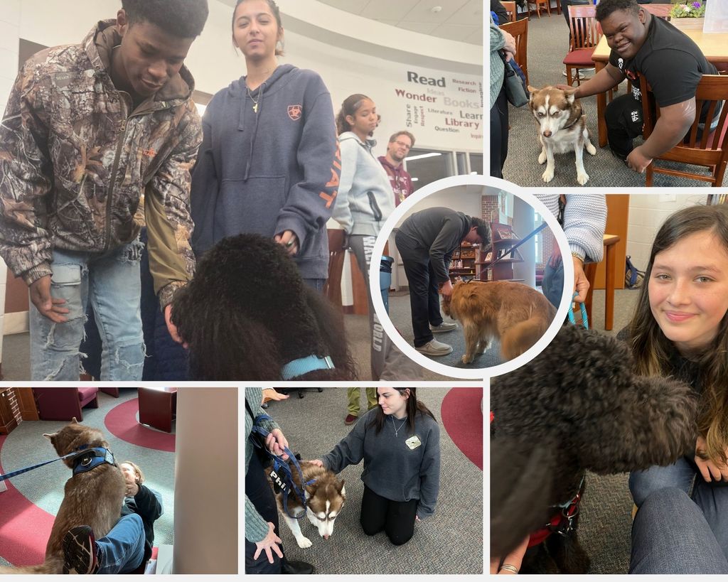 Pets on Wheels Collage