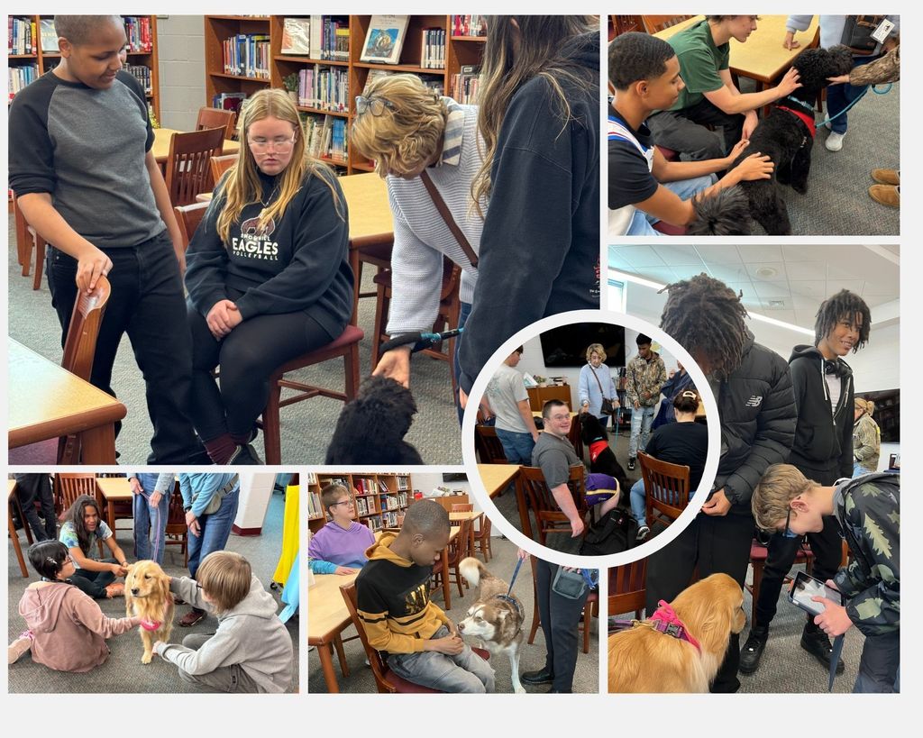 Pets on Wheels Collage