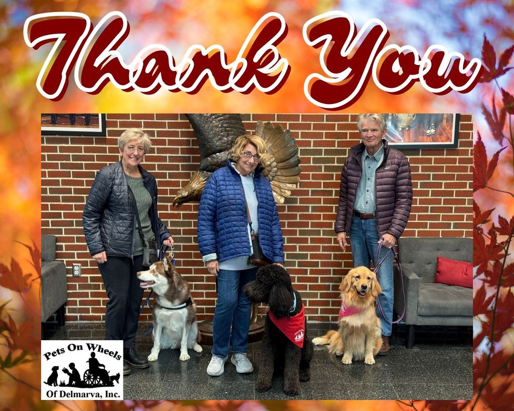 Pets on Wheels Collage