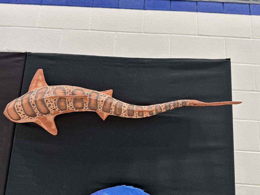 3D Sea Creatures art project