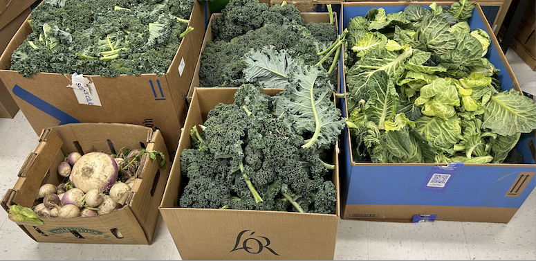 fresh kale, turnips, and collards