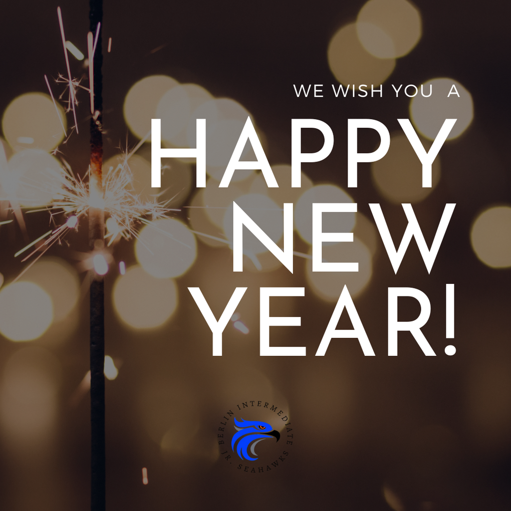 Happy New Year from BIS!